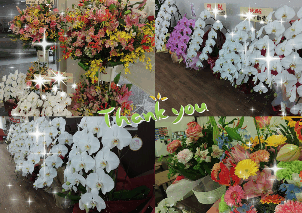 明石西店、お祝いで頂いたお花達。
