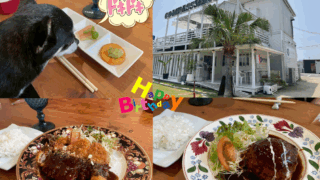 河本の休日。ランチ食べてきました。
