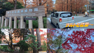 明石西店　河本の お出かけの写真